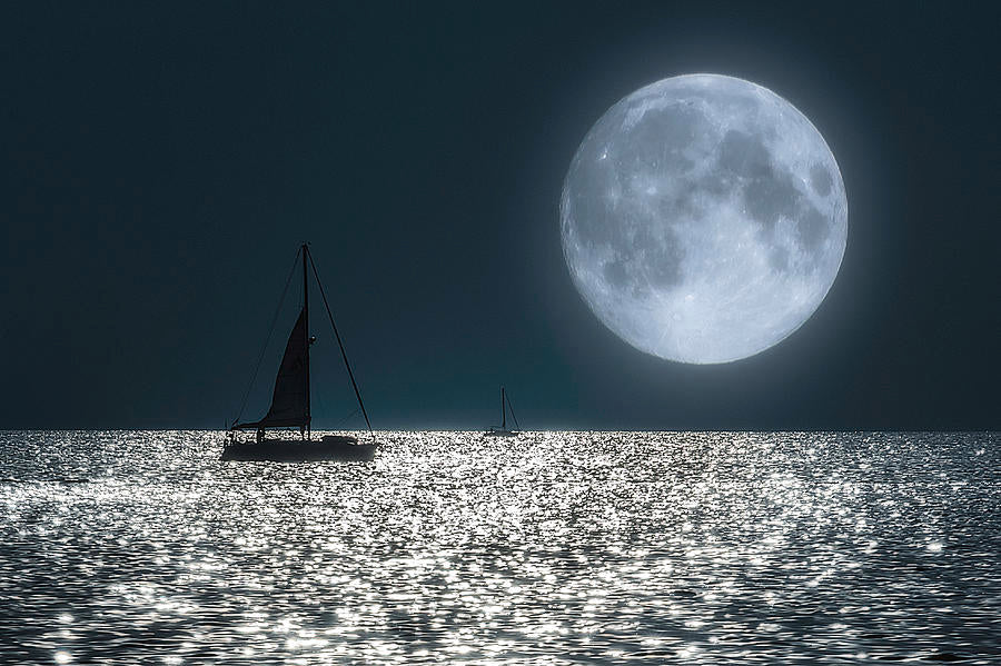 Moonlight Cruise (3 hrs)