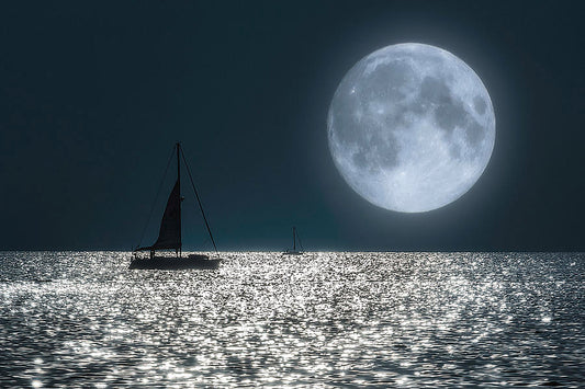 Moonlight Cruise (3 hrs)